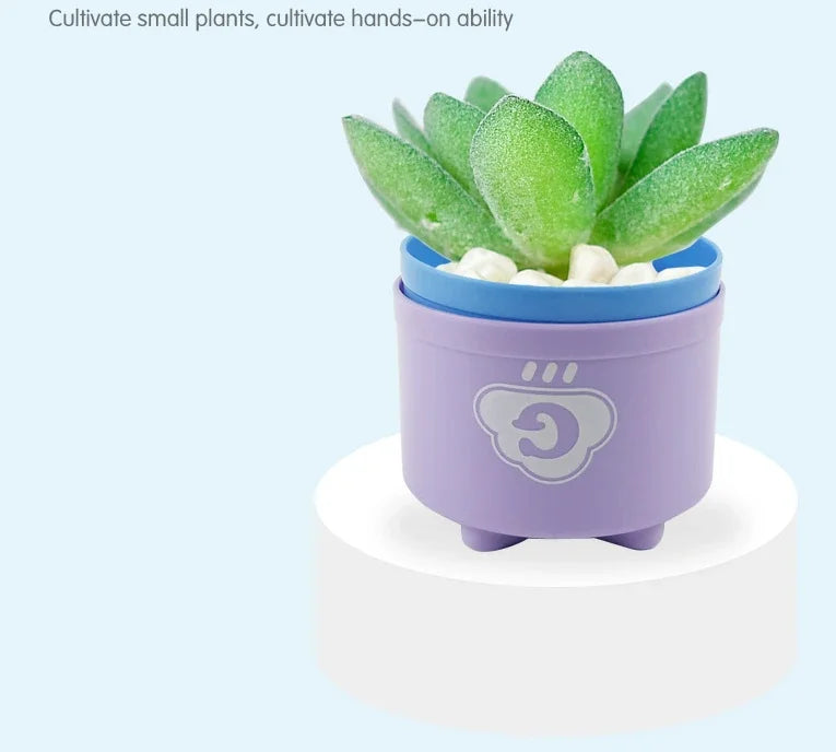 Zakplay™ – Free Gift Item Kid Brain Response Battle Fold Cup | Hand Speed Competition | Baby Stack & Early Education Puzzle | Fun Board Game Toy