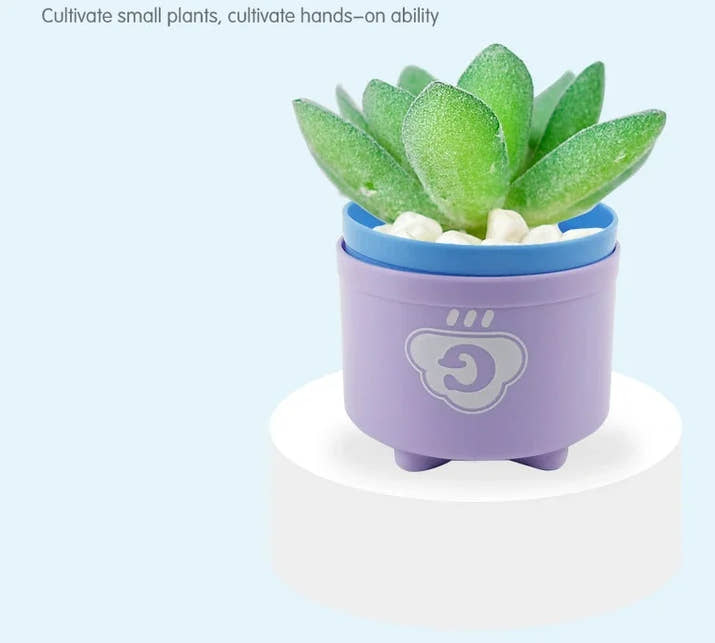 Zakplay™ – Free Gift Item Kid Brain Response Battle Fold Cup | Hand Speed Competition | Baby Stack & Early Education Puzzle | Fun Board Game Toy