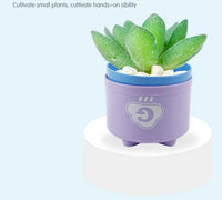 Zakplay™ – Free Gift Item Kid Brain Response Battle Fold Cup | Hand Speed Competition | Baby Stack & Early Education Puzzle | Fun Board Game Toy